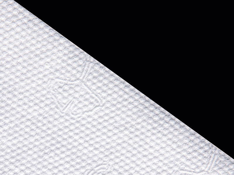 Viskos och polyester Ginkgo Dot Style Spunlace Nonwoven för torra eller våtservetter